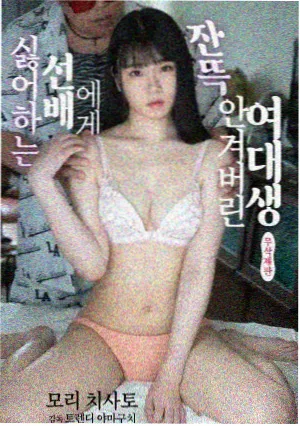 雾港夜航悬疑剧集在线观看封面